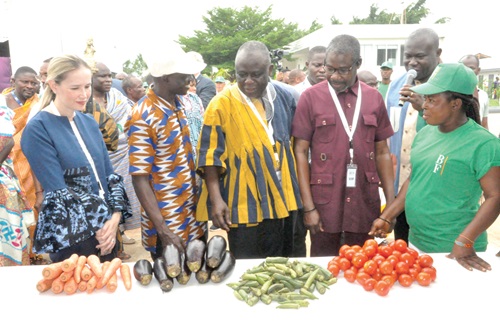 Daniela, d’Orlandi (left), Italian Ambassador, Yaw Frimpong Addo (middle) and Osborne Fenu (2nd from right), North Tongu DCE, inspecting some farm produce at one of the stands during the exhibition