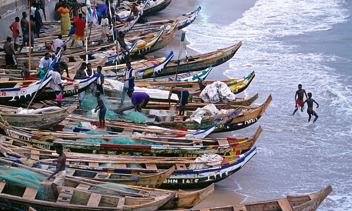  Fisherfolks in James Town experience bumper catch