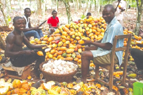 Cocoa farmers to benefit from the GH¢942m COCOBOD investment Cocoa farmers to benefit from the GH¢942m COCOBOD investment