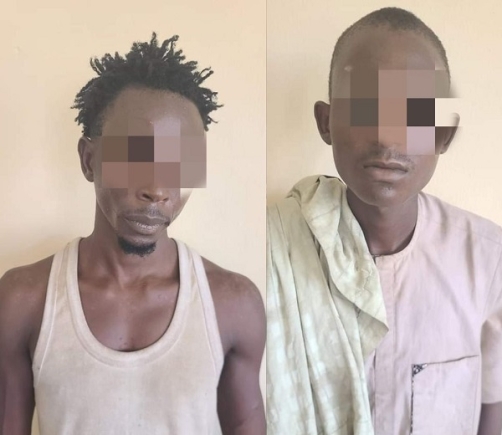 Two suspects arrested for stealing Kano police station sign post