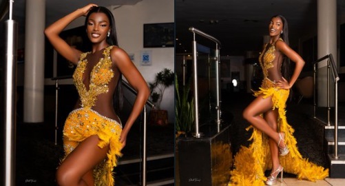 Chidimma Adetshina: Hounded South African beauty queen wins Miss Universe Nigeria
