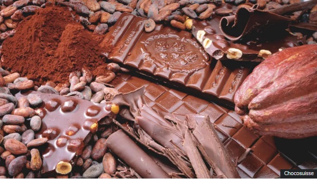 The whole of the cocoa fruit can now be used to make chocolate and reduce sugar. Have Swiss scientists made a chocolate breakthrough? 