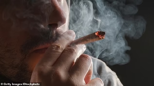 Smoking cannabis triples risk of heart attacks, strokes, new study reveals