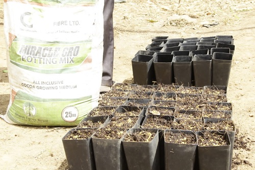 The Miracle-Gro Potting Mix