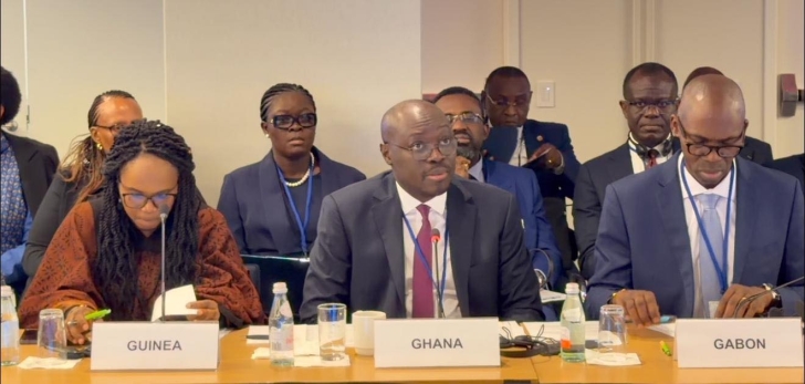 World Bank praises Ghana economy but warns over energy sector risks