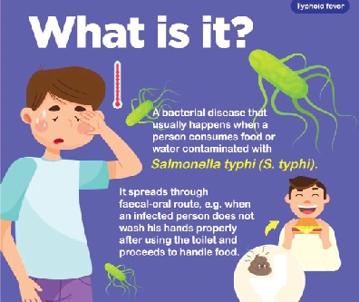 Do you really have typhoid disease?