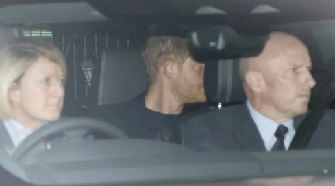 Prince Harry