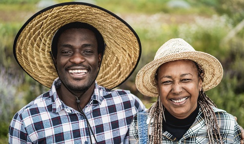 Tullow partners Innohub to support agribusiness in Ghana