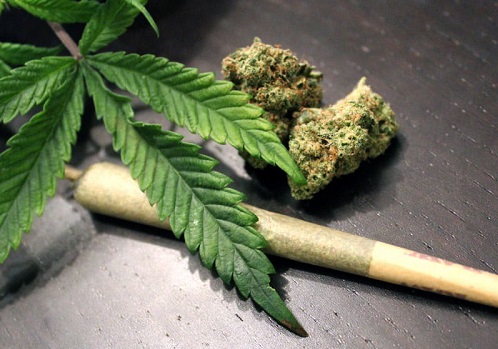 Marijuana use linked to higher risk of heart attack and stroke