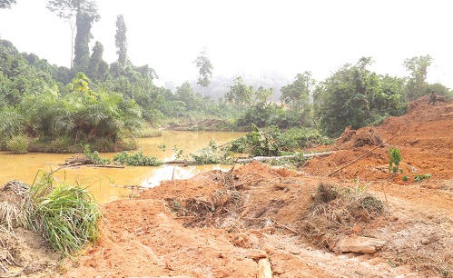 A portion of the Danyau Forest reserve lot 3 before reclamation. Picture: ELVIS NII NOI DOWUONA