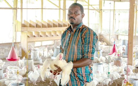 One of the beneficiaries of the ESRF in his poultry farm at Shai-Osudoku in the Greater Accra Region