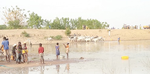 Some residents competing with animals for water at a dam 