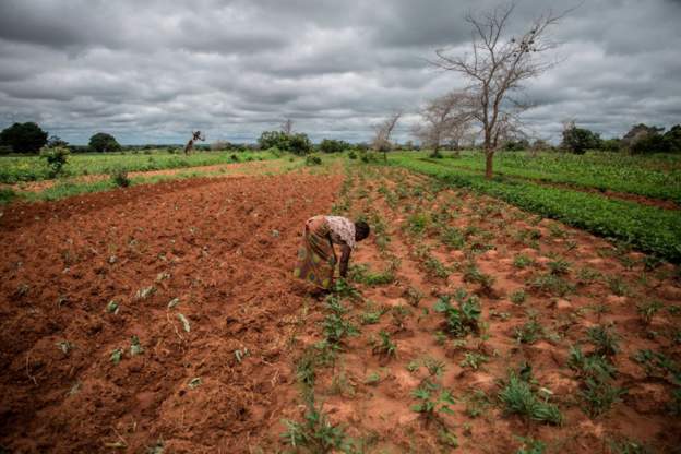 Zambia declares national emergency over drought