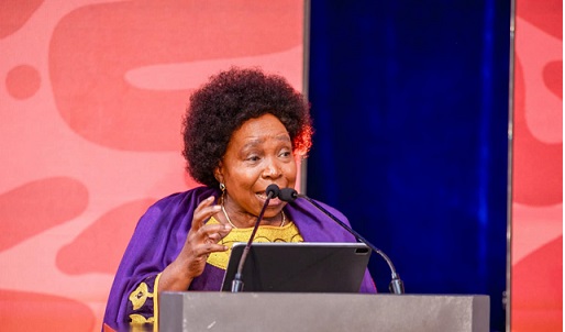 Dlamini-Zuma: Use the abundant resources to develop Africa