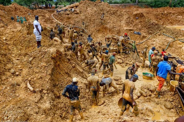 Forest reserves under threat over galamsey