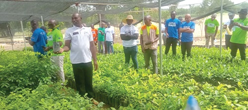 Mr Edward Yara, officer in charge of one of the tree seedling nurseries briefing members of the consortium during the visit