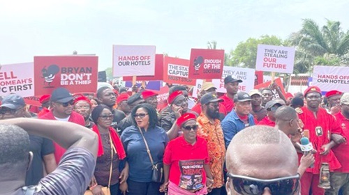 Samuel Okudzeto Ablakwa (arrowed) and some members of the public during the demonstration