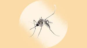 African Health Ministers pledge to end malaria deaths