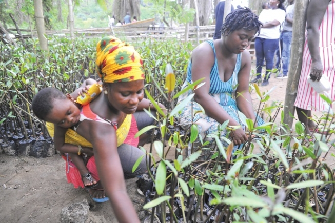 Women play a vital role in various areas such as agriculture