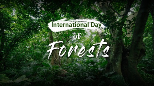 Ghana marks International Day of Forests