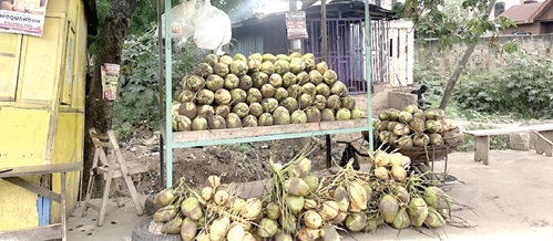 Coconut sellers say they will be reviewing their price from GH¢5 to GH¢6