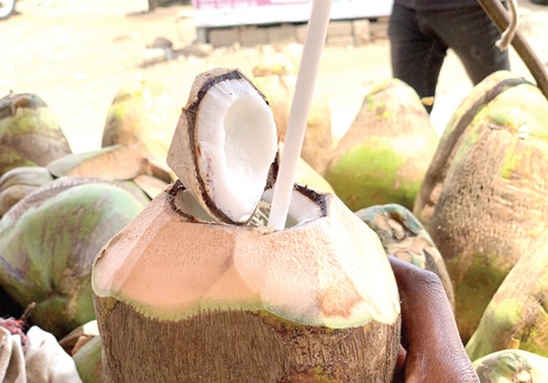 Coconut water can be enjoyed with a stray