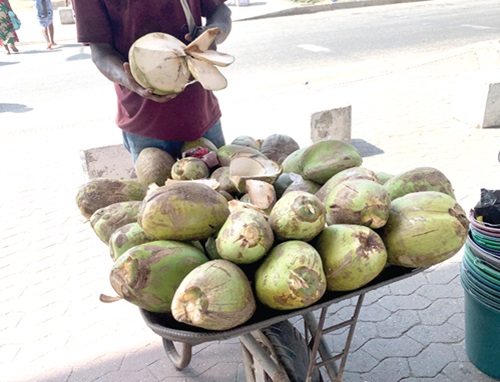 According to a nutritionist, Mrs Mary Ama Darko, coconut boosts immune system, reduces cholesterol levels, promotes heart health, among others