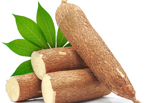 Cassava is a good source of vitamin C, thiamine, riboflavin and niacin 
