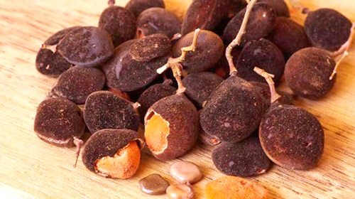 Velvet tamarind is rich in Vitamin A and Vitamin C.