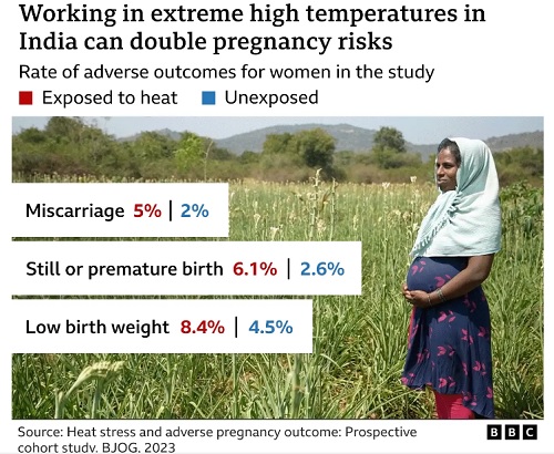 Working in extreme heat can double stillbirth risk - Study