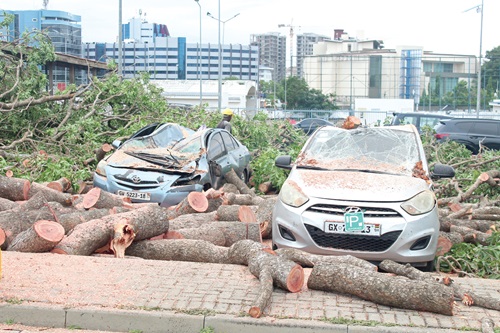  Some vehicles damaged by falling trees after the heavy rainstorm at the airport area. Picture: ERNEST KODZI