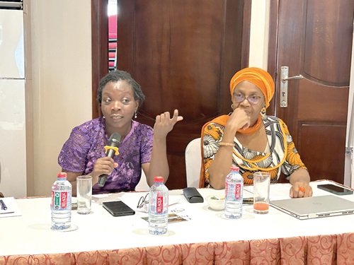 Prof Akosua K. Darkwah (left), Associate Professor of Sociology, speaking at the Promotion of Effective Policies for Women’s Economic Empowerment forum in Accra. Picture: CALEB VANDERPUYE