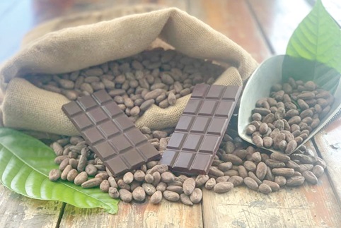 Chocolate and cocoa beans