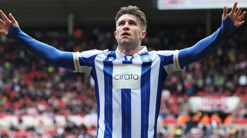 Sheffield Wednesday have asked supporters not to buy counterfeit shirts