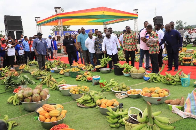 Cocoa farmers children to enjoy scholarships at tertiary level - Bawumia