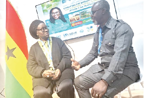 Dr Eric Asuman (right), Director-General of GMet,  interacting with Dr Mariane Diop, a programmes manager at WMO Africa Regional Office, at the side event at COP29 