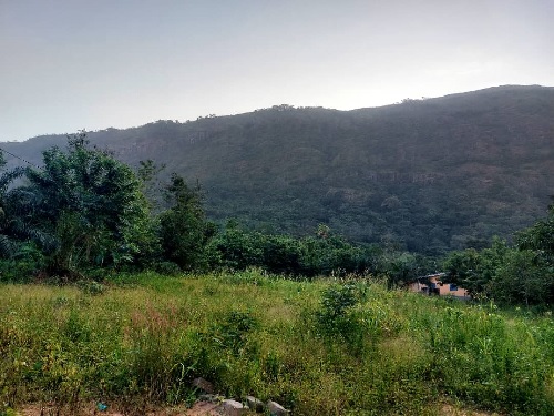 The Likpe Mountains which form part of the Akwapim-Togo Ranges along the eastern border lies in the constituency The Likpe Mountains which form part of the Akwapim-Togo Ranges along the eastern border lies in the constituency