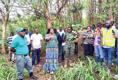 Ophelia Mensah-Hayford (2nd from left), Minister of Environment, Science, Technology and Innovation, making a brief remark when she visited Abene Forest Reserve. Looking on are members of her entourage