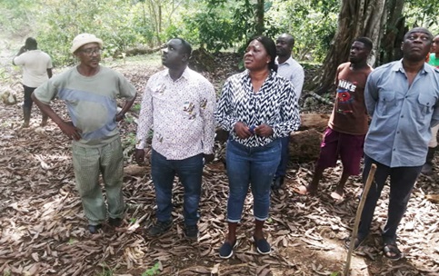 Ophelia Mensah Hayford (2nd from right), the Minister of Environment, Science, Technology and Innovation, and some dignitaries taking a tour of Kwame Appiagyei's (left), cocoa farm at Kwabeng in the Ashanti Region