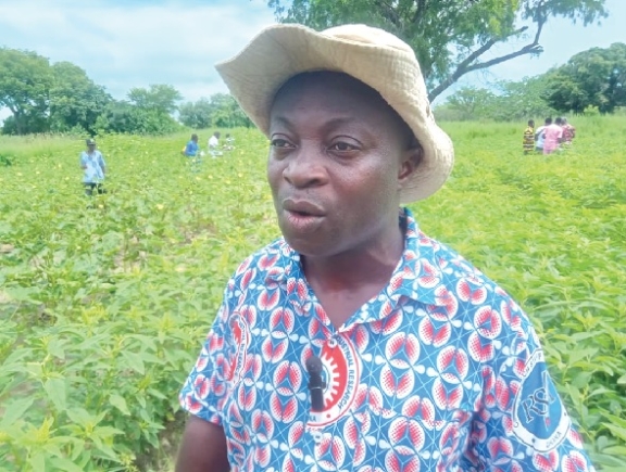 Dr Michael Kwabena Osei, a tomato breeder, speaking to the media
