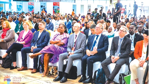 Guests at the Africa Skills Week