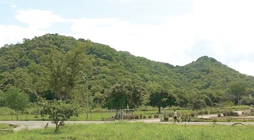The lushness of the Banda Ahenkro mountains is not lost on a visitor to the community The lushness of the Banda Ahenkro mountains is not lost on a visitor to the community