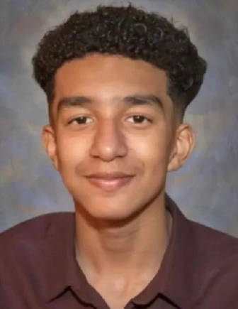 Sewell Setzer, 14, shot himself with his stepfather’s handgun after spending months talking to “Dany”, a computer programme