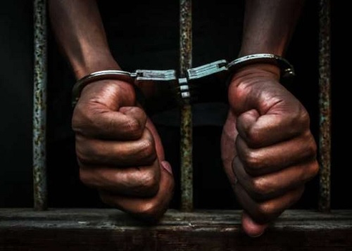 Father and Son Imprisoned for Conspiracy and Theft of Teak Trees in Hohoe