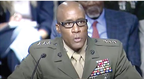  U.S. Marine Corps General Michael Langley is the Commander of U.S. Africa Command