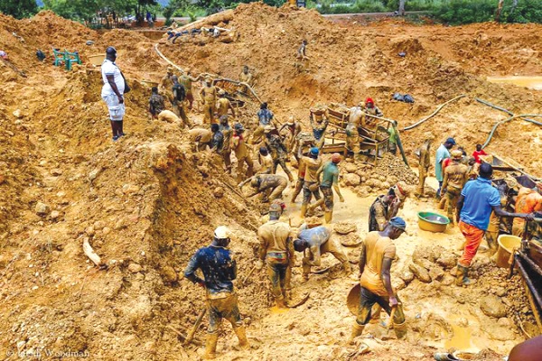 Stop galamsey - Veterinary Medical Association urges
