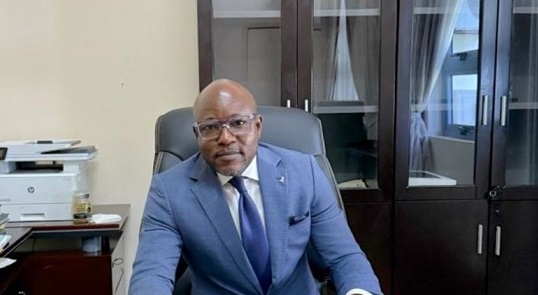 Constitution Review Committee receives over 500 proposals from stakeholders
