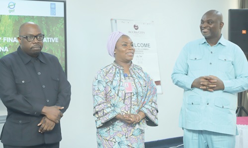 Fati Attahiru (middle), acting Deputy UNDP Resident Representative; Dr Peter Dery (right), Director, Environment, Ministry of Environment, Science and Technology, and Bruno Mweemba (left), a Green and Sustainable Finance practitioner. Picture: EDNA SALVO KOTEY  