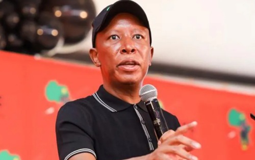 Julius Malema: South African politician hits out after failing to get UK visa