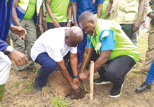 Kwadwo Nyamekye-Marfo (left), Board Chairman of the BPA, being assisted by Kow Eduakwa Sam (right), acting Chief Executive Officer of the BPA, to plant a tree